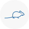 Mice Exterminators In Nuneaton